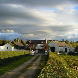 Driveway leading to Auntie Pat's luxury boarding kennels and cattery