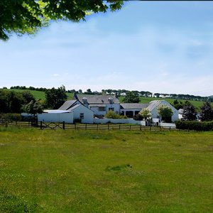 Auntie Pat's luxury boarding kennels and cattery